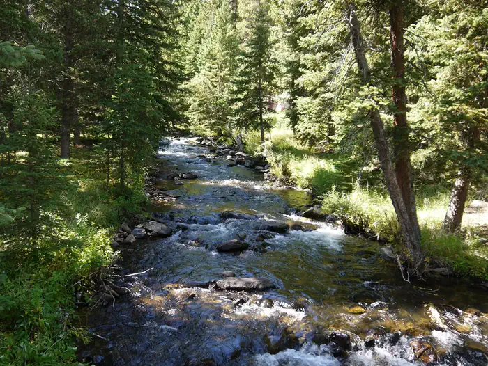 South Fork (wyoming) — South Fork