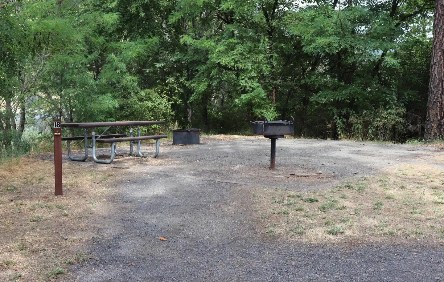 Pink House Recreation Site — Tent campsite at Pink House Recreation Site.