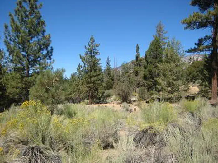 Heart Bar Equestrian — Scenic View from Heart Bar Equestrian Campground