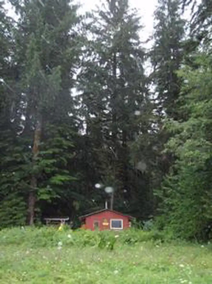 Towers Arm Cabin — TOWERS ARM CABIN5