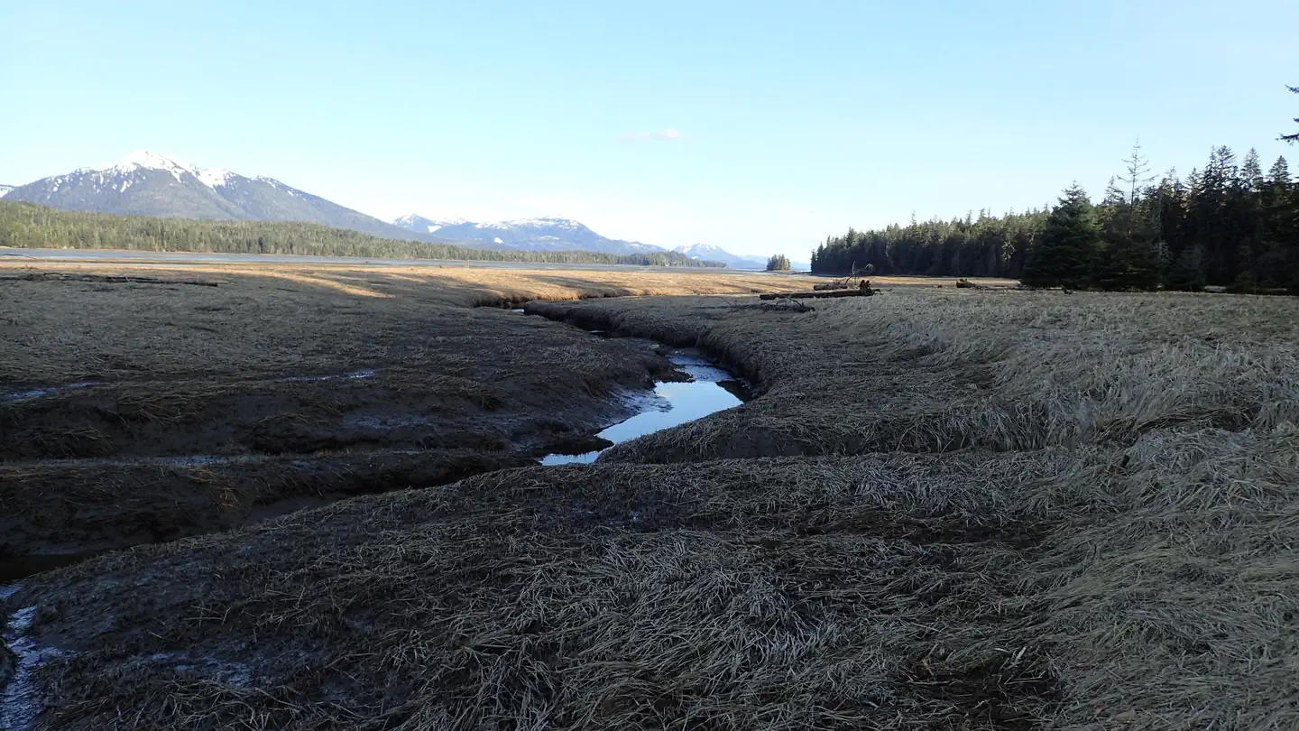 Towers Arm Cabin — cabin channel low tide