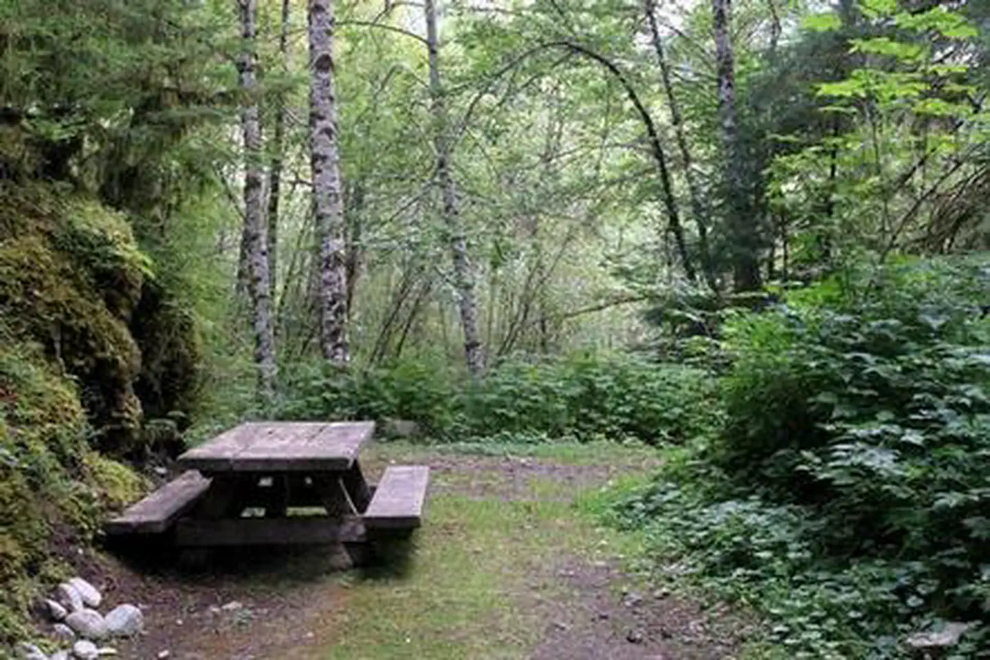 Esswine Group Camp — Esswine Group Camp