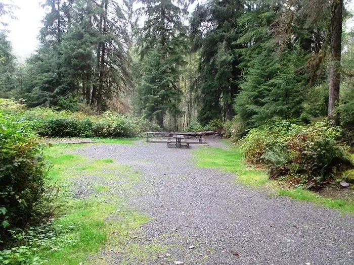Esswine Group Camp — Esswine Group Campground