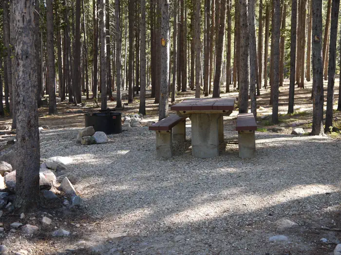 Basin Montana Campground — Basin Site 20