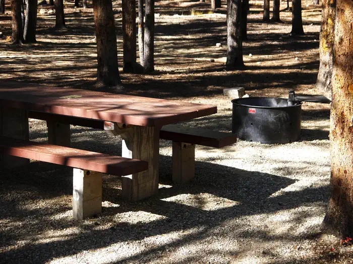 Basin Montana Campground — Basin Site 25