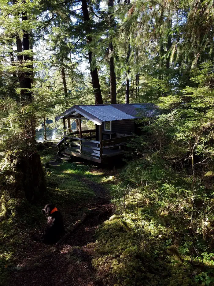 Staney Creek — Staney Creek Cabin