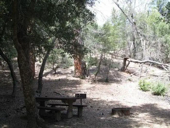 Frye creek campground — FRY CREEK CAMPGROUND