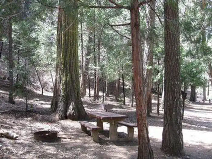 Frye creek campground — FRY CREEK CAMPGROUND
