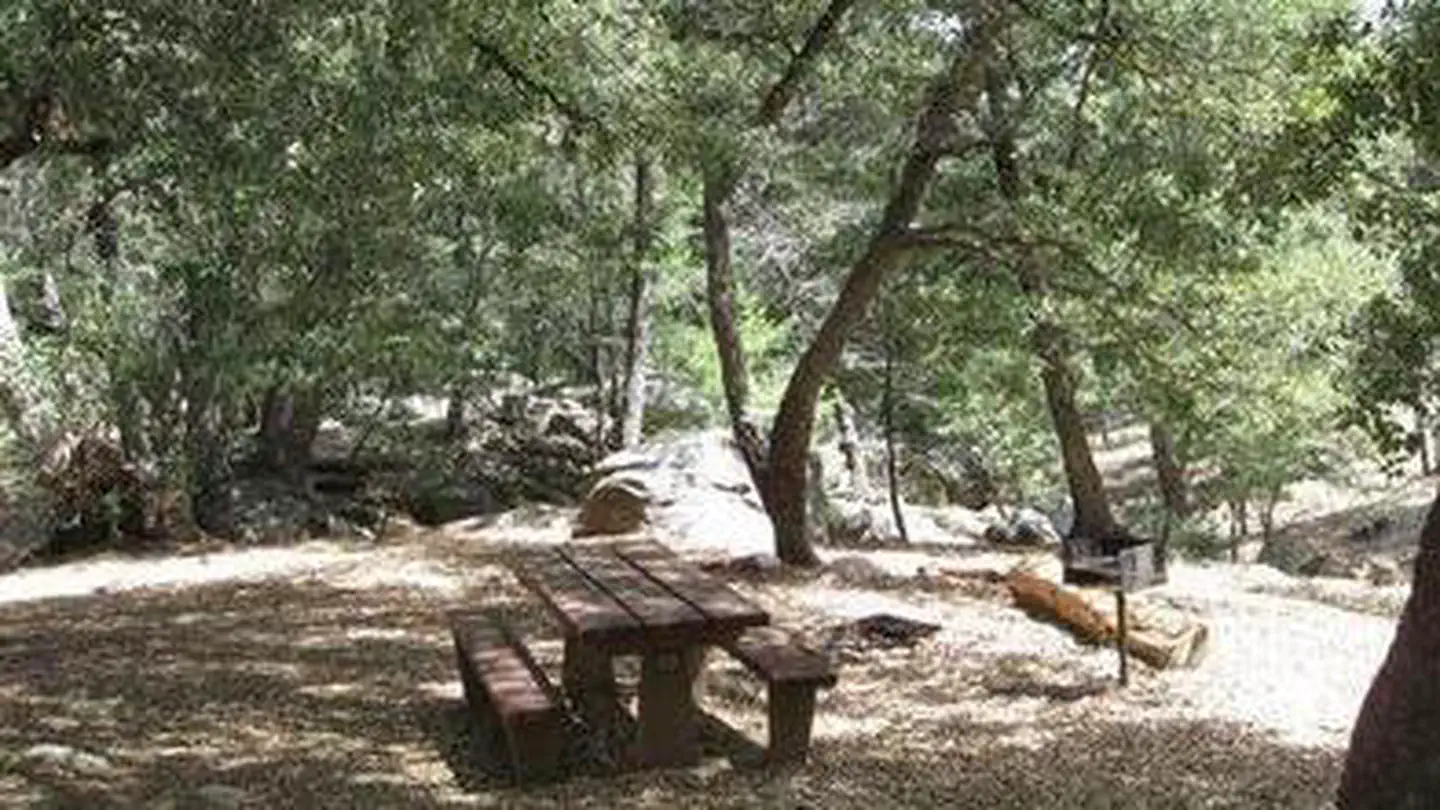 Frye creek campground 