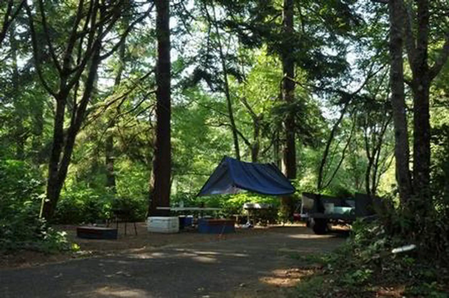 Alder Dune Campground — ALDER DUNE