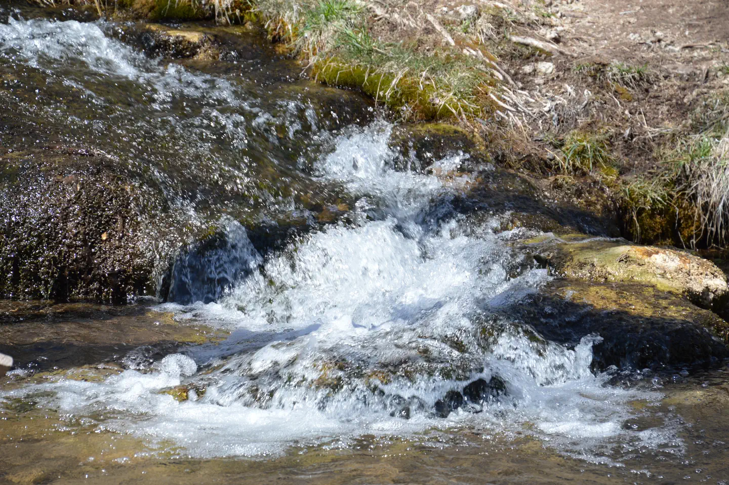 Maple Grove — Maple Grove