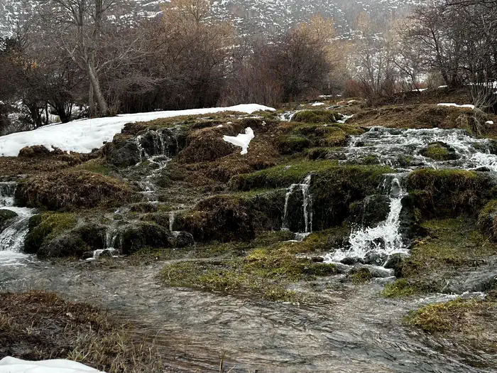 Maple Grove — Ivy Creek.