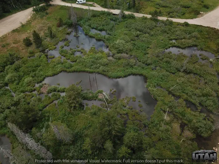 Shingle Creek ATV Campground — Shingle Creek Atv Campground aerial