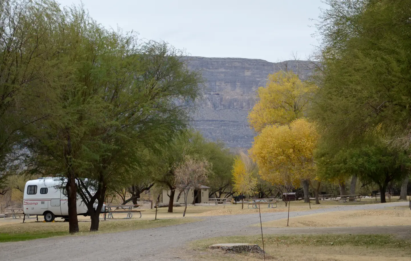 Cottonwood Campground - Big Bend National Park — Small travel trailer set up in tree-lined campground with cliffs in background