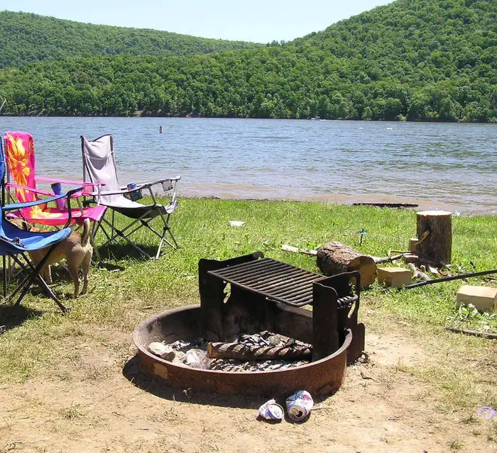 Nancy's Boat To Shore Campground (pa) — NC occupied site