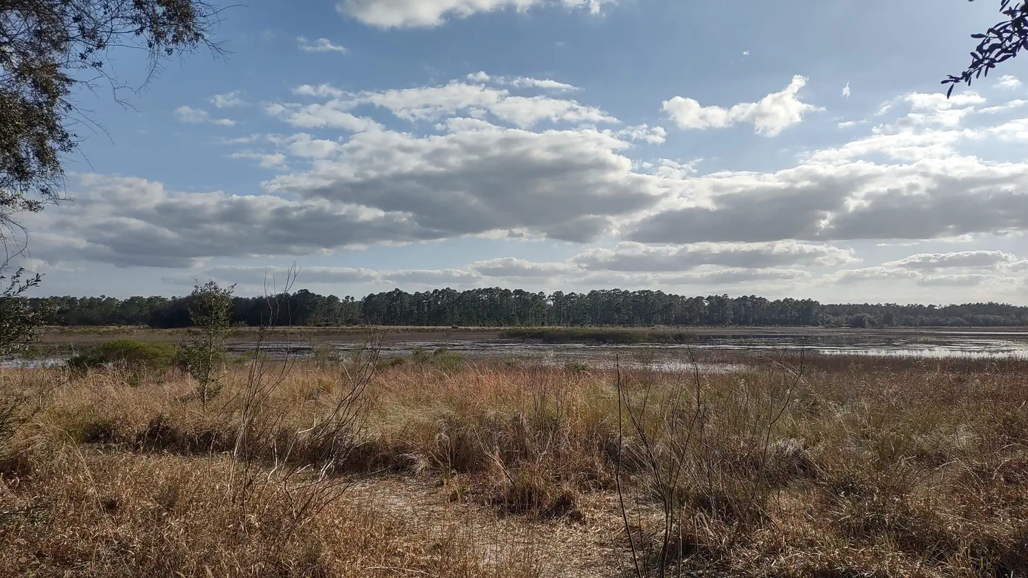 Hopkins Prairie Campground