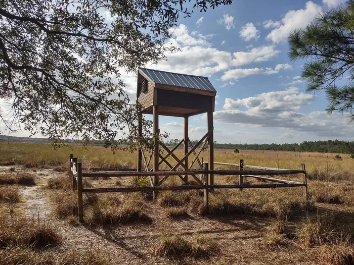 Hopkins Prairie Campground — Bat house at campground