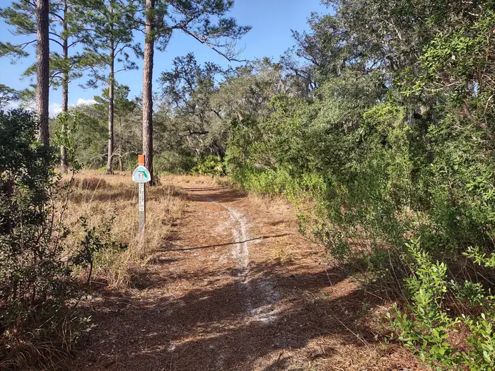 Hopkins Prairie Campground — FNST