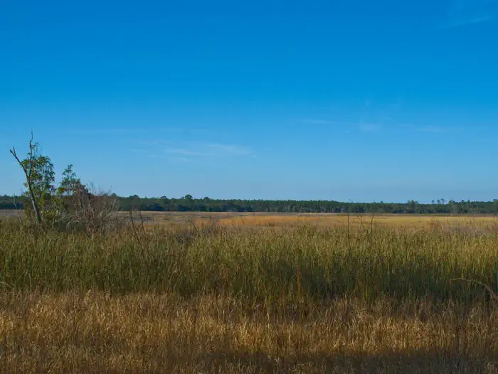 Hopkins Prairie Campground — View of Hopkin's Prairie