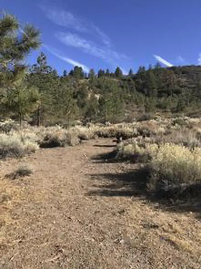 Chuchupate Campground — CHUCHUPATE CAMPGROUND