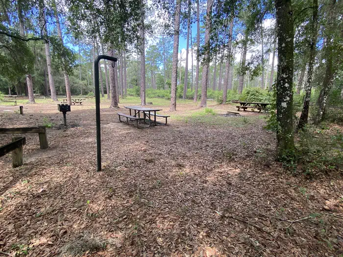 Lake Delancy Recreation Area