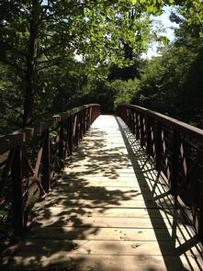 Raven Cliff Campground — RAVEN CLIFF PICNIC SHELTER