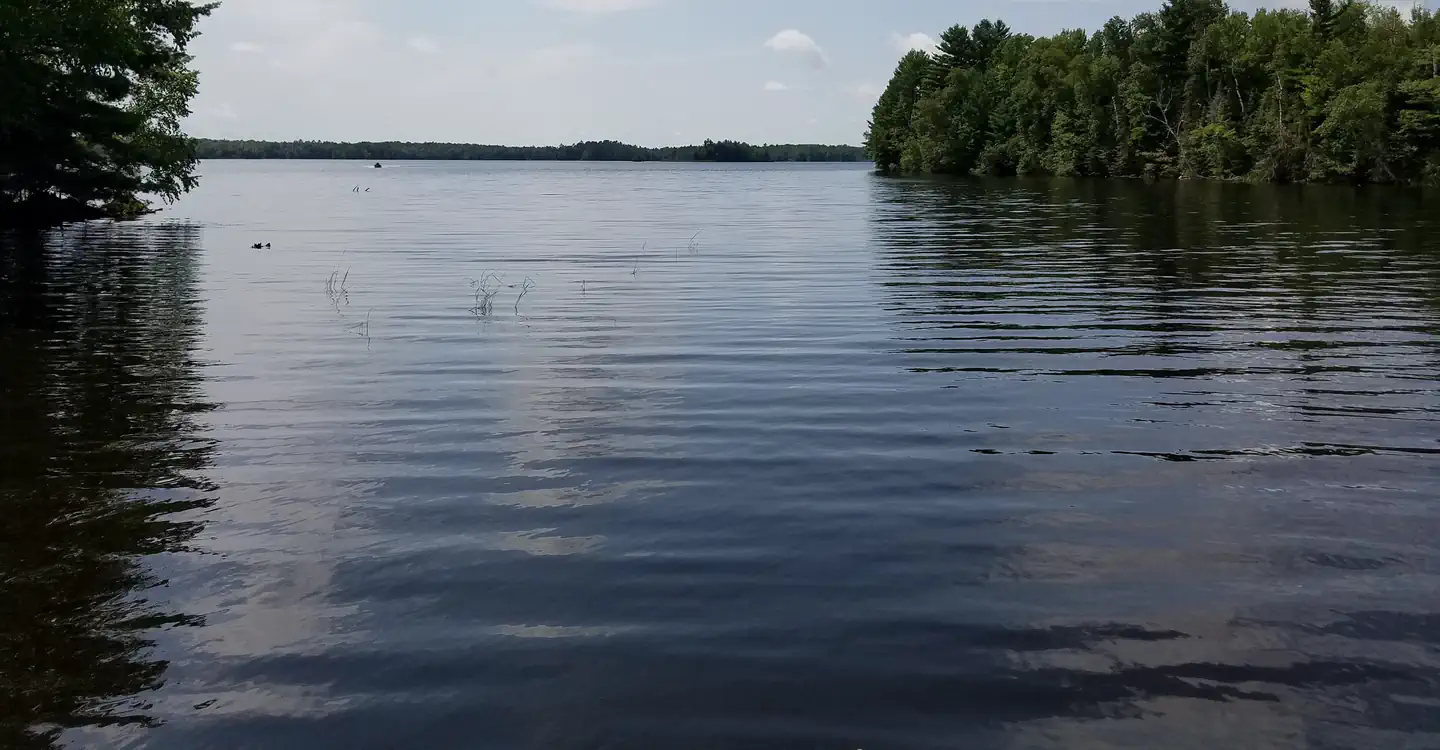 Moose Lake NF Campground