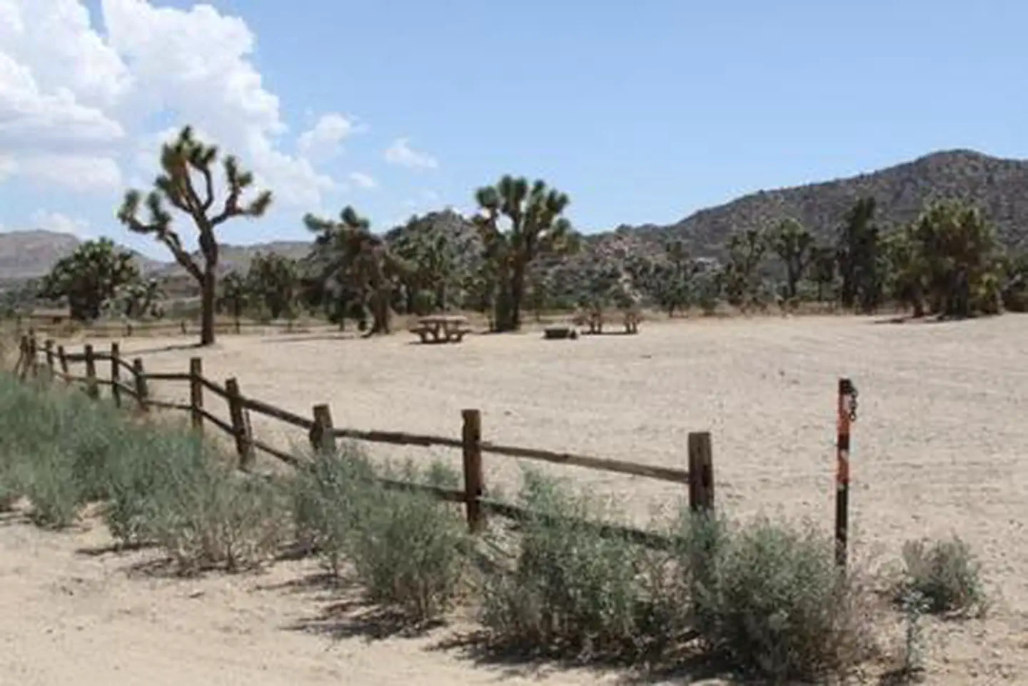 Black Rock Equestrian Campground - Joshua Tree — BLACK ROCK EQUESTRIAN CAMPGROUND