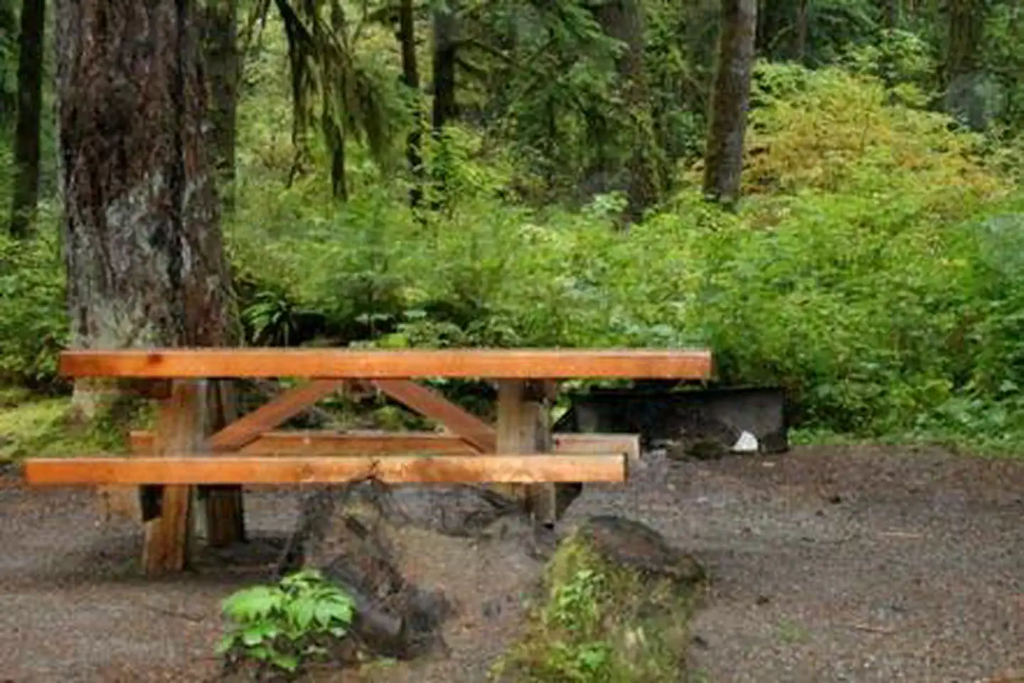 Park Creek Campground — Park Creek Campground