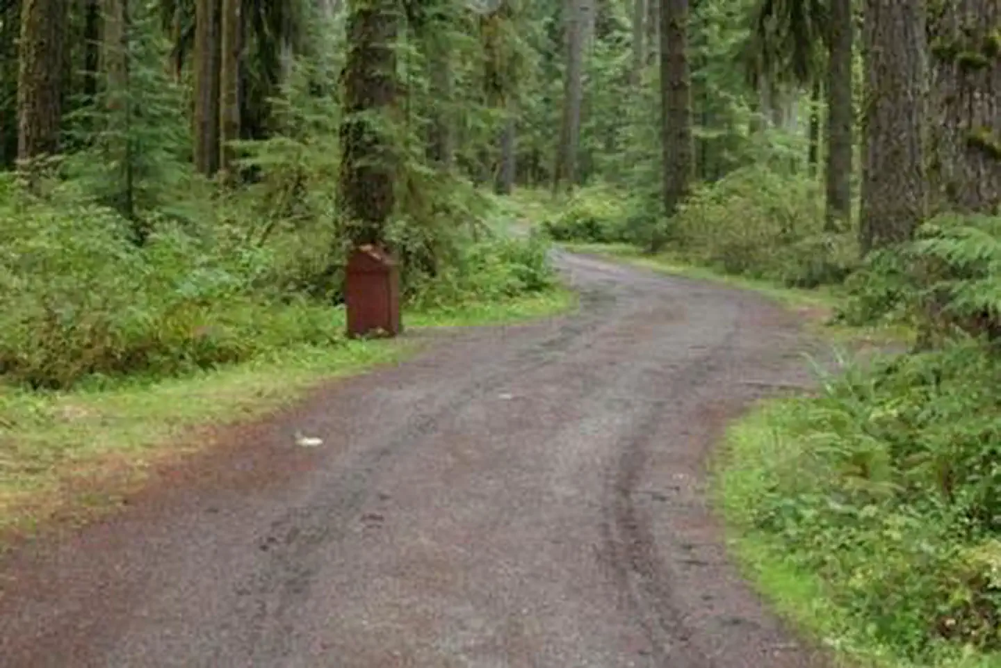 Park Creek Campground — Park Creek Campground