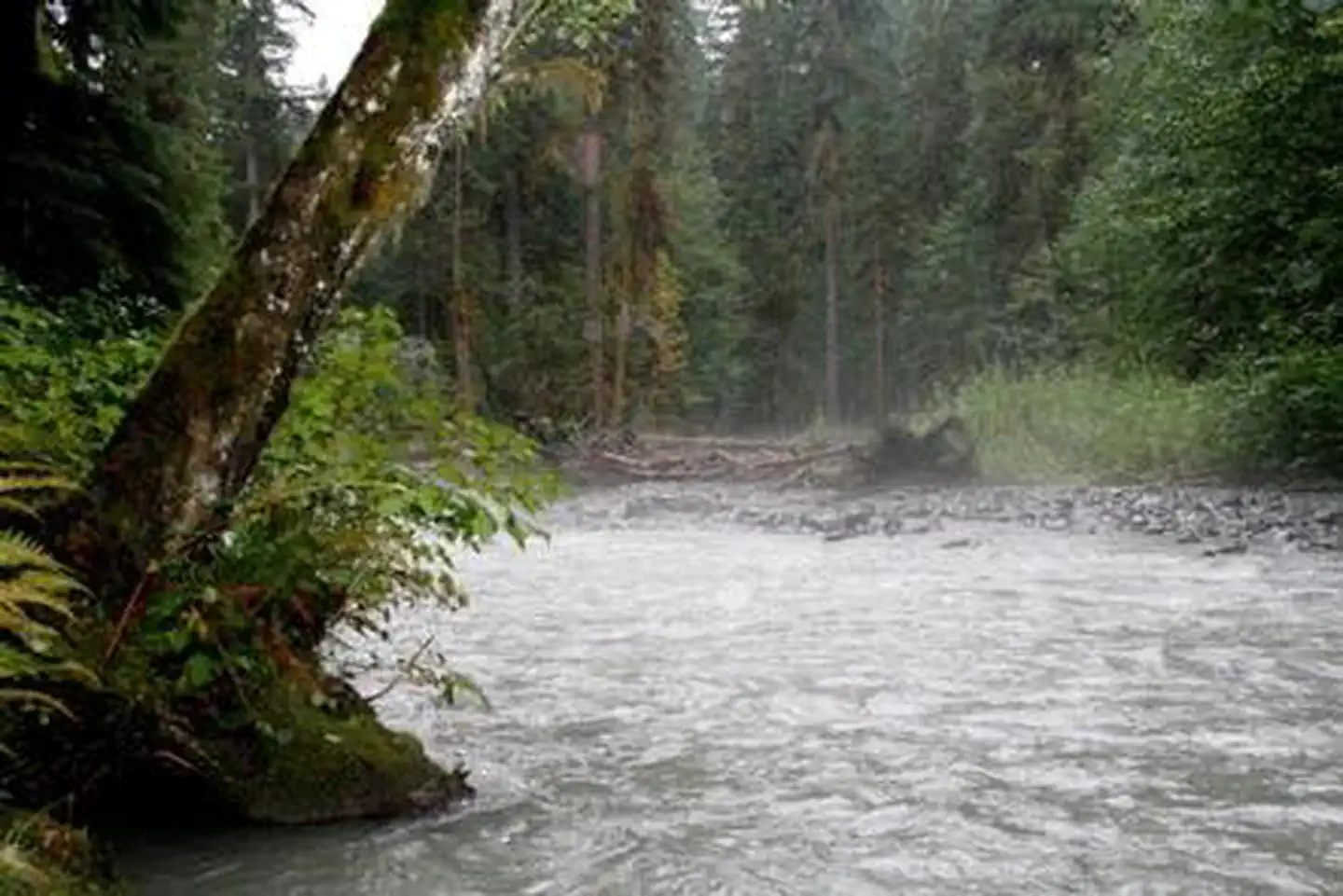 Park Creek Campground — Park Creek Campground