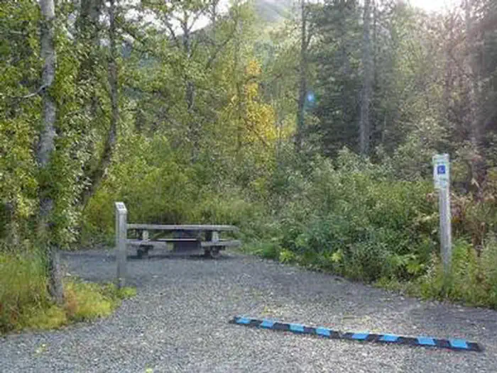 Tenderfoot Creek — TENDERFOOT CREEK
