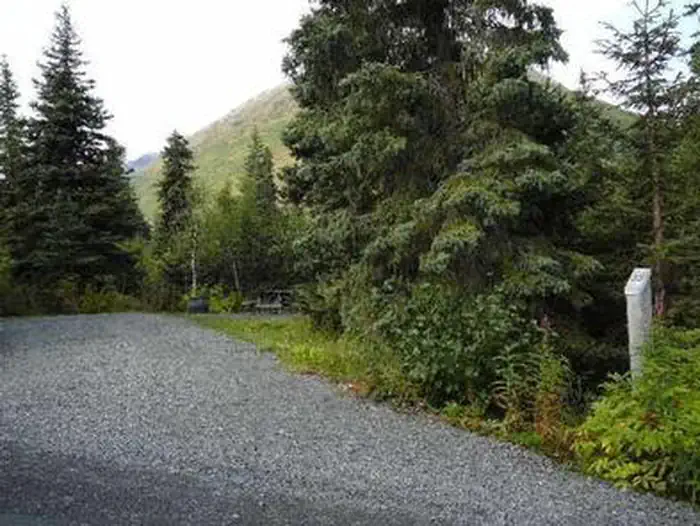 Tenderfoot Creek — TENDERFOOT CREEK
