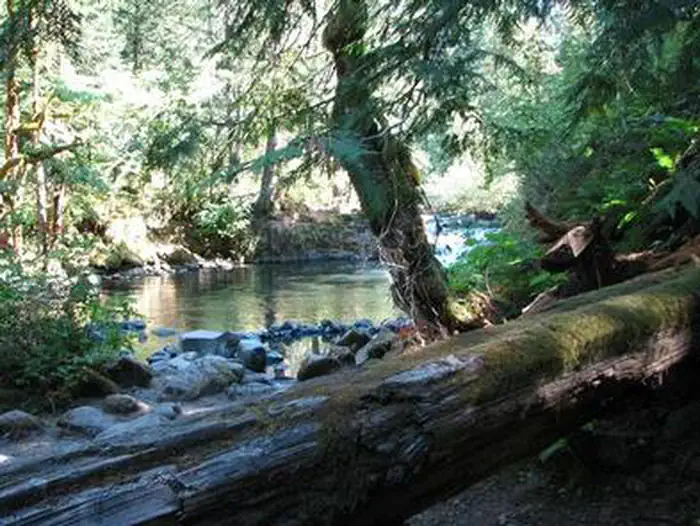 Roaring River Campground — ROARING RIVER