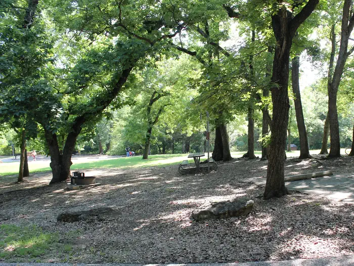 Central Group Campground — Central Group Campground showing picnic table, trees, grass and open space.