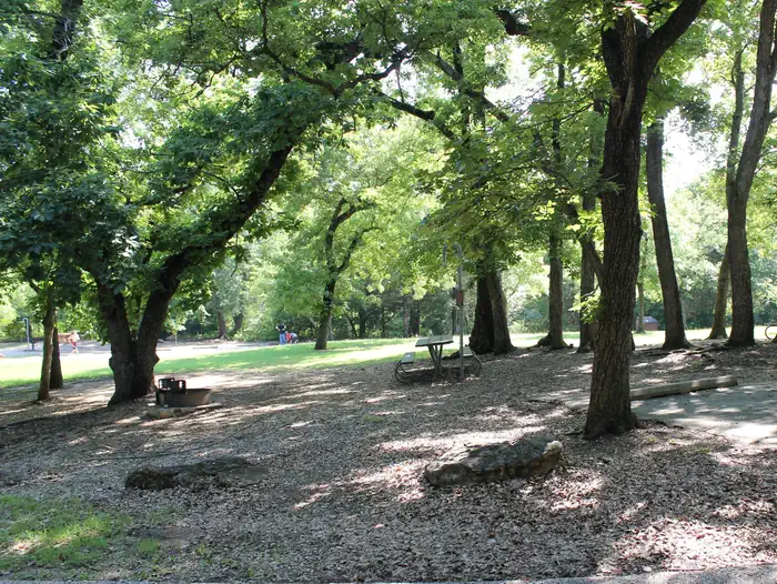 Central Group Campground — Central Group Campground showing picnic table and trees and open space.