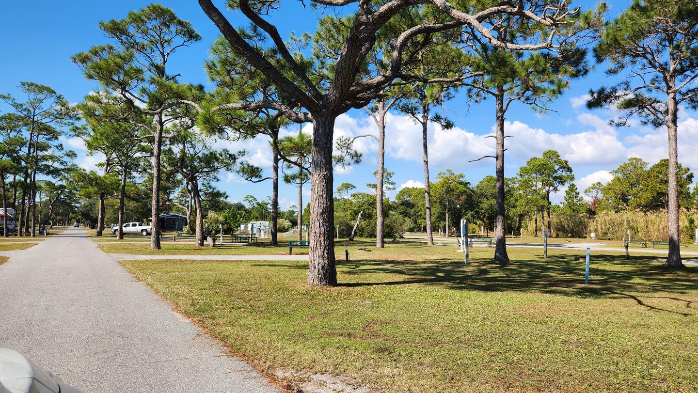 Fort Pickens Campground — Fort Pickens Campground E Loop