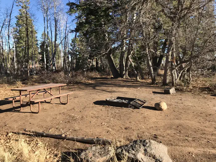 Lava Point Campground — Picnic table and fire ring inside a dirt campsite surrounded by forest.