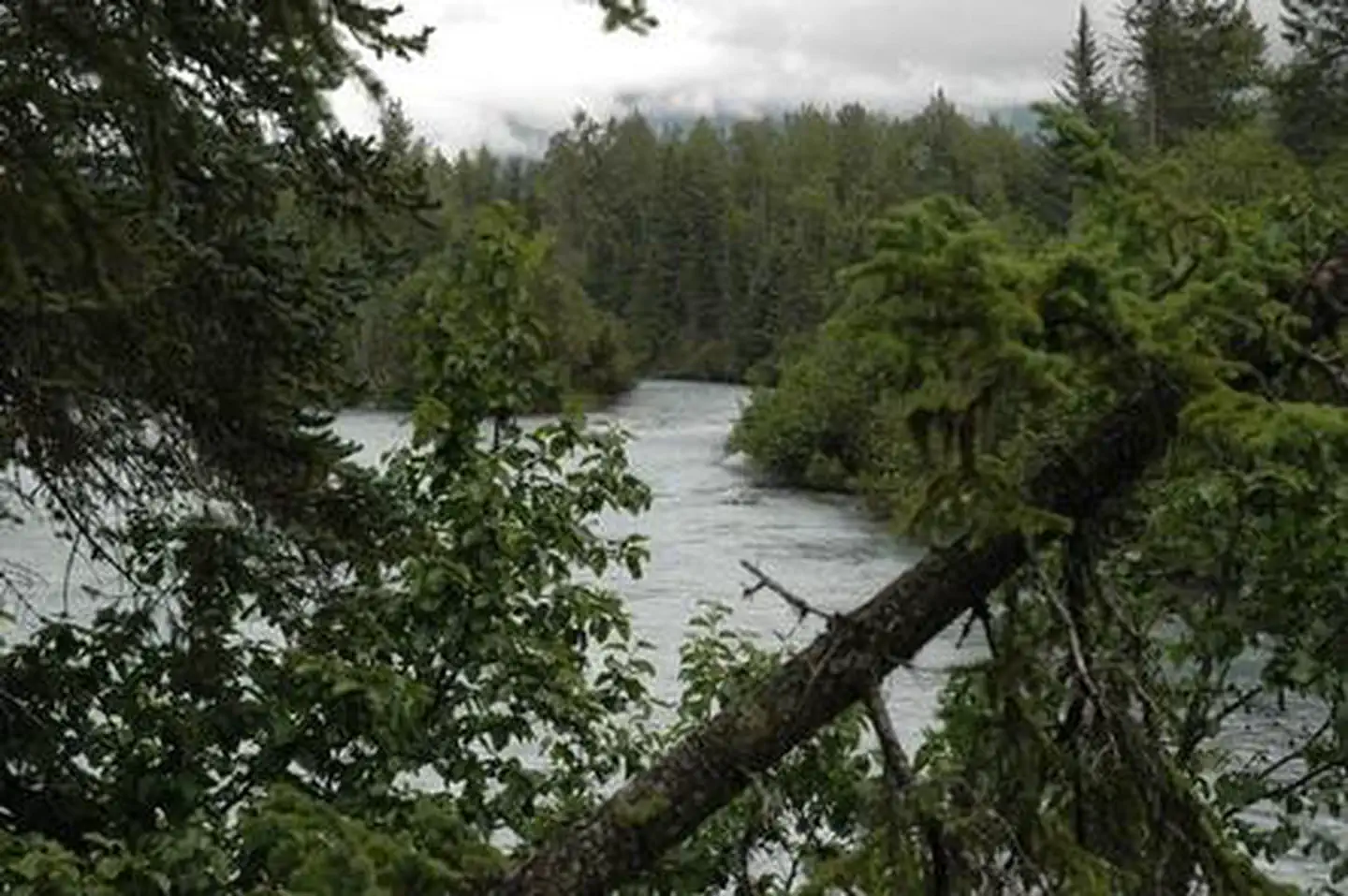 Trail River — TRAIL RIVER