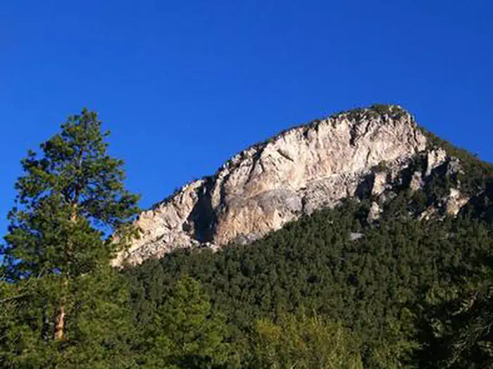 Fletcher View — FLETCHER VIEW