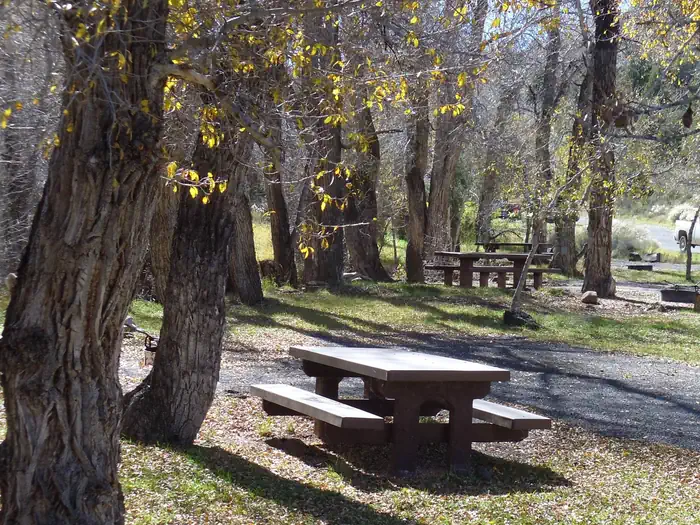 White Bridge — White Bridge Campground