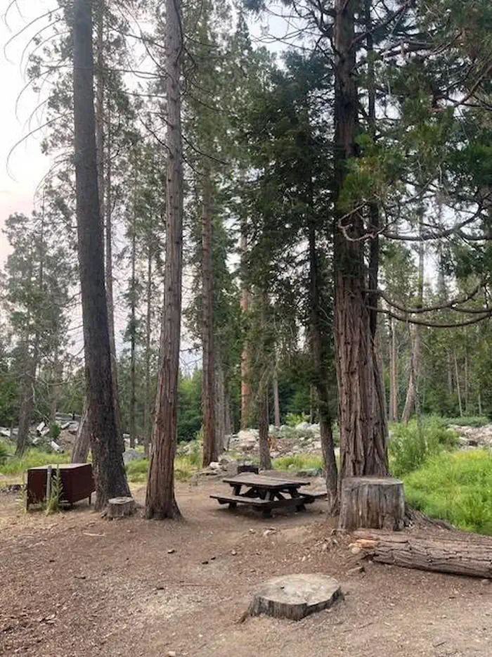 Ten Mile Campground (ca) — Ten Mile Campground - Site #9