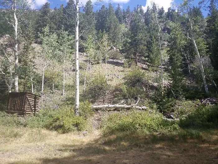 Dawson Cabin — Dawson Cabin view