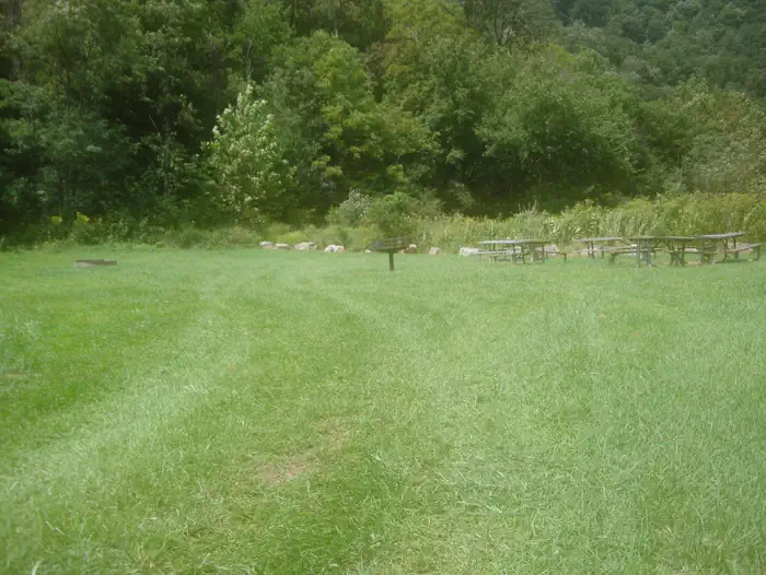 Jess Judy β Group Site #1