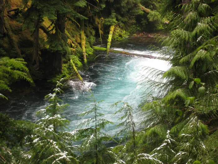 Lost Prairie Group Site — McKenzie River, Willamette National Forest