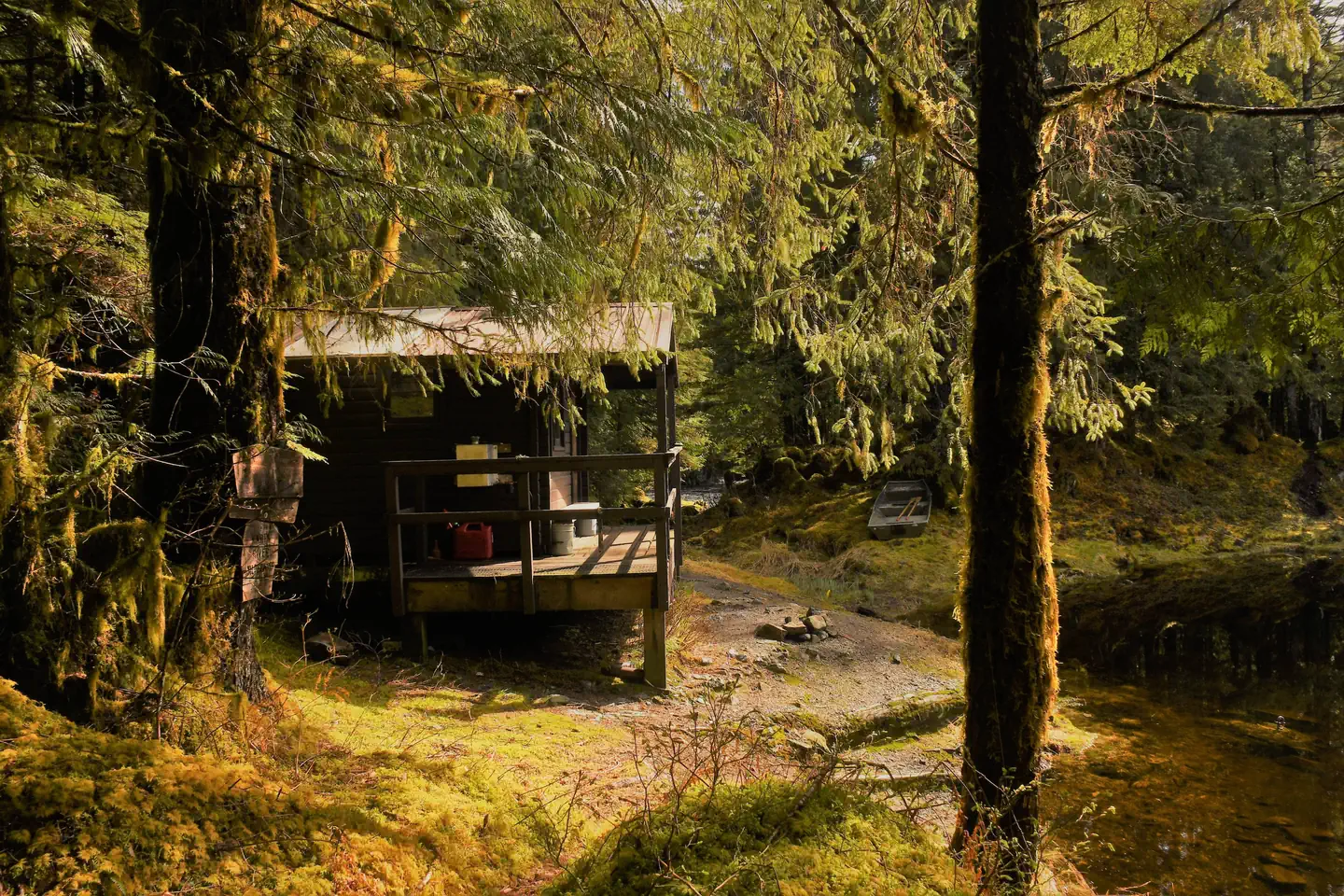 Karta Lake Cabin — Karta Lake Cabin