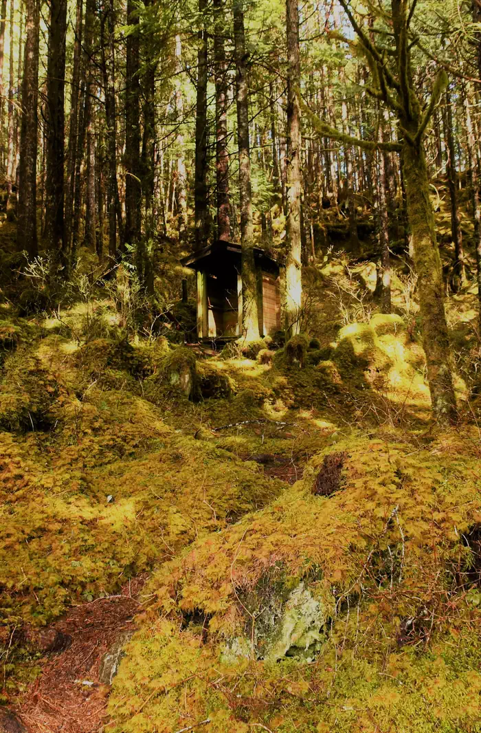 Karta Lake Cabin — Karta Lake Outhouse