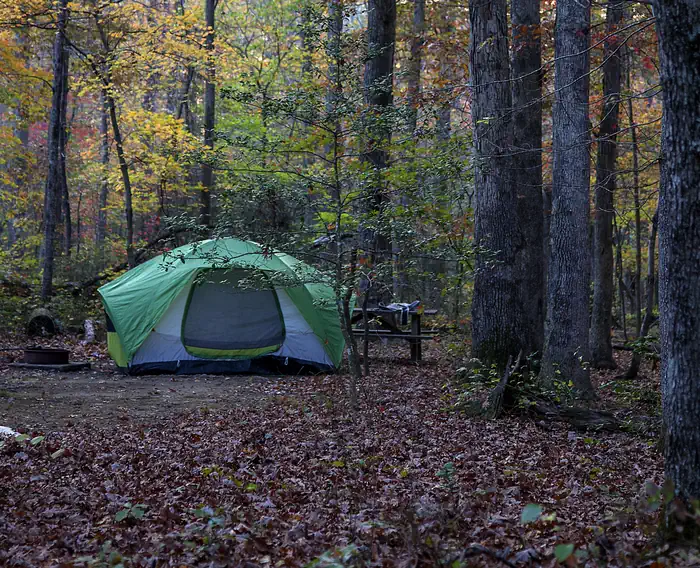 Turkey Run Ridge Group — A green tent nestled under an autumn forest
