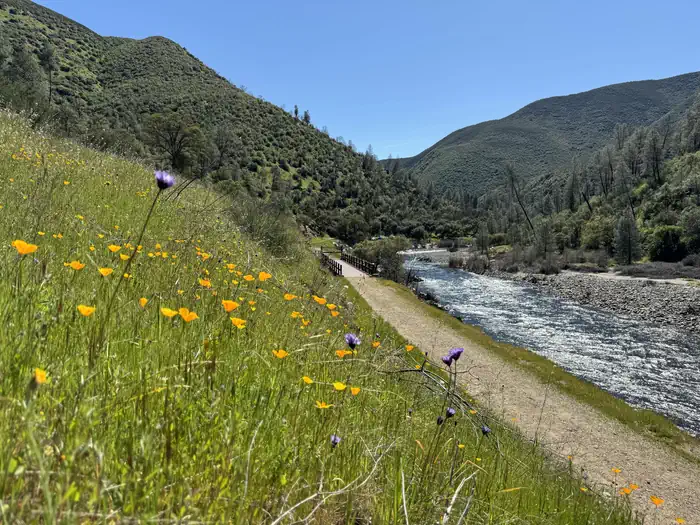 Railroad Flat Campground — Halls Gulch Bridge—Just downstream from Railroad Flat Campground