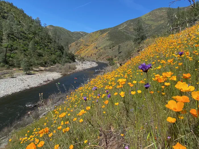 Railroad Flat Campground — Railroad Flat Campground in Spring with Kayakers